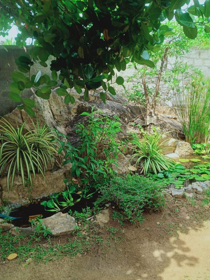 Sidhangana Home Stay Anuradhapura Dış mekan fotoğraf