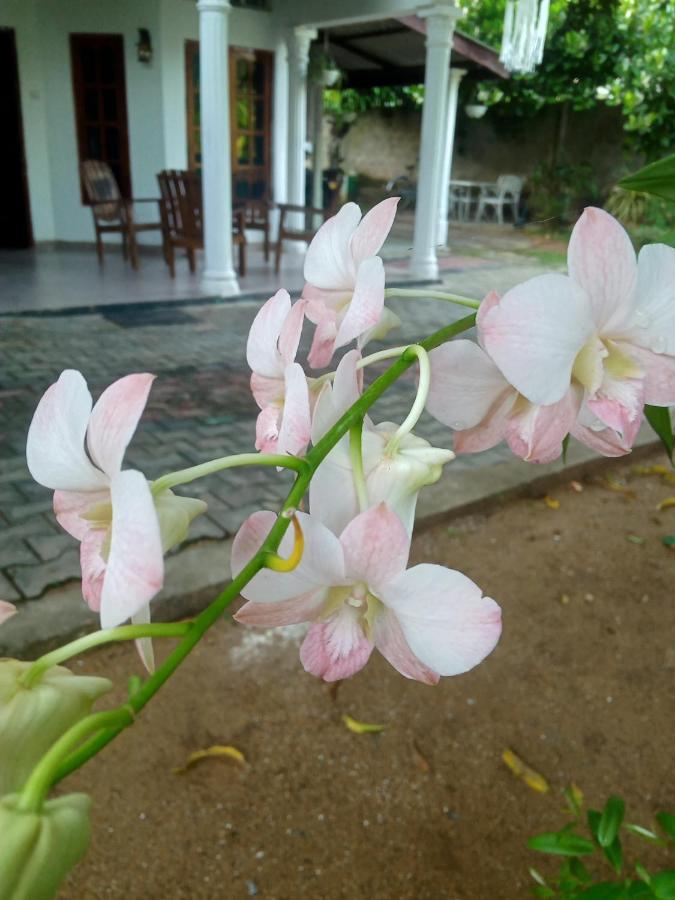 Sidhangana Home Stay Anuradhapura Dış mekan fotoğraf