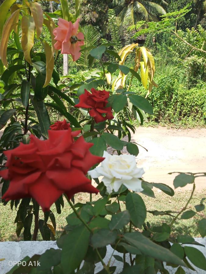 Sidhangana Home Stay Anuradhapura Dış mekan fotoğraf