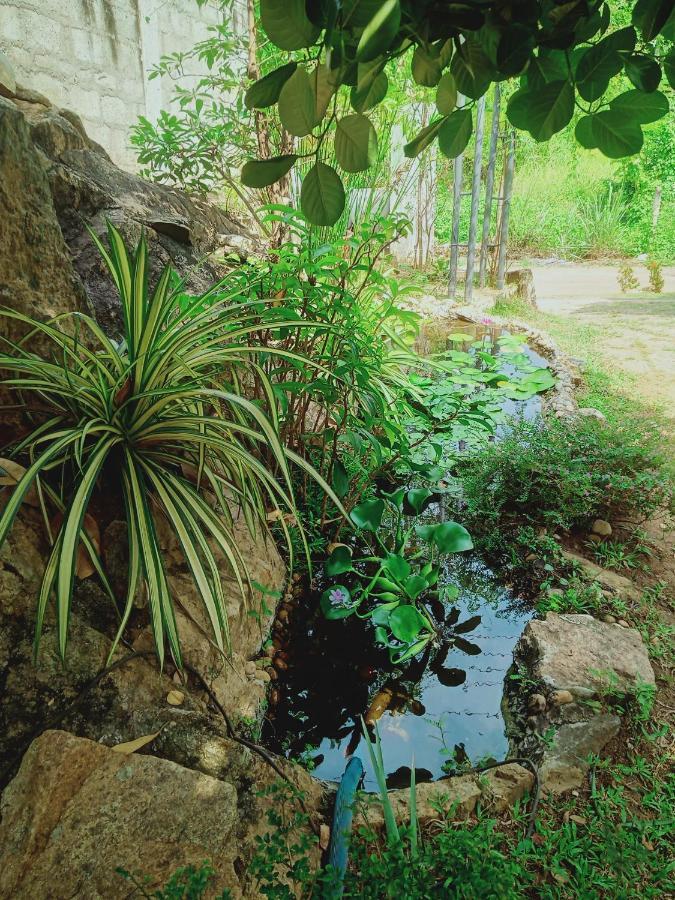 Sidhangana Home Stay Anuradhapura Dış mekan fotoğraf