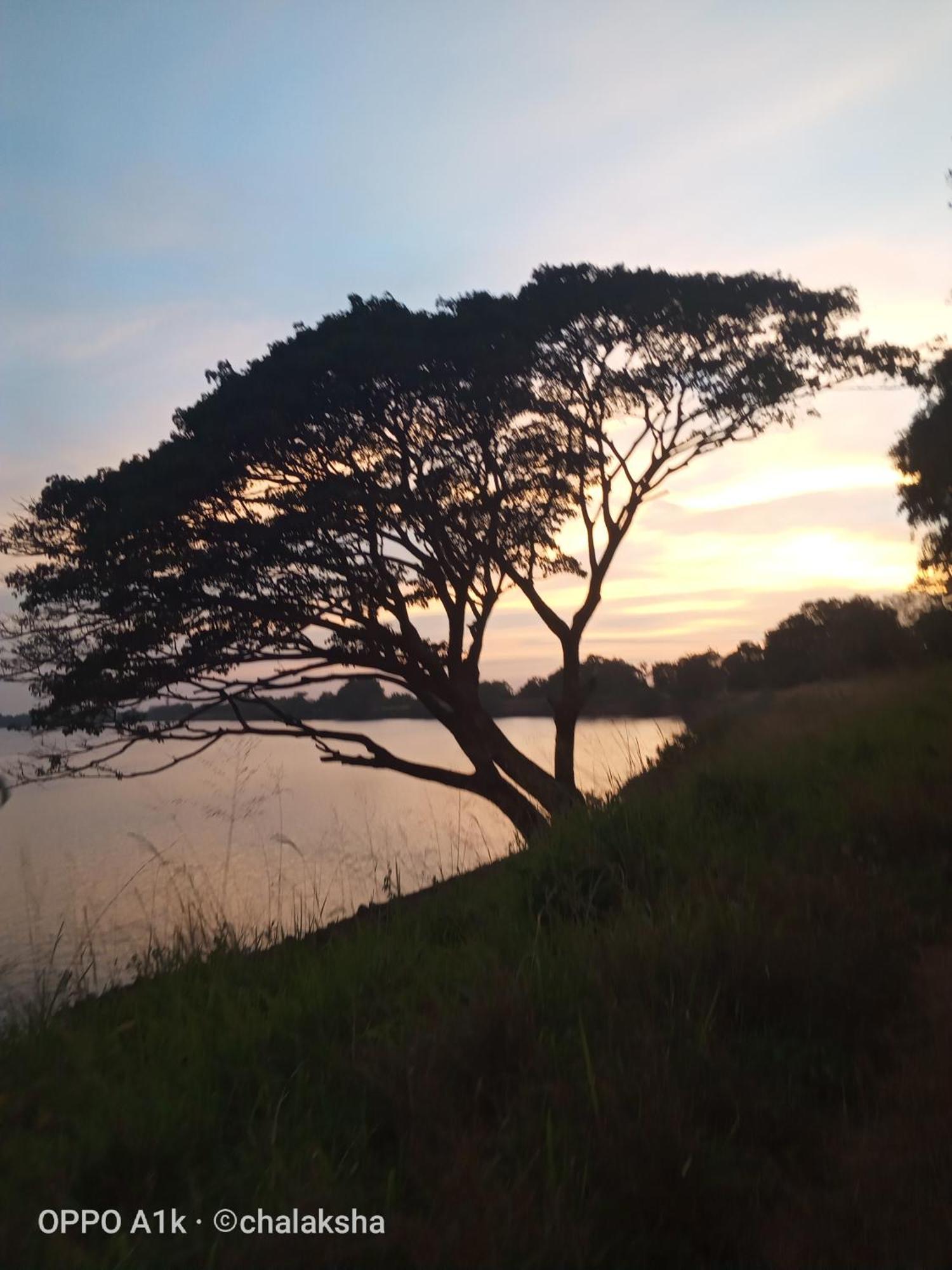 Sidhangana Home Stay Anuradhapura Dış mekan fotoğraf