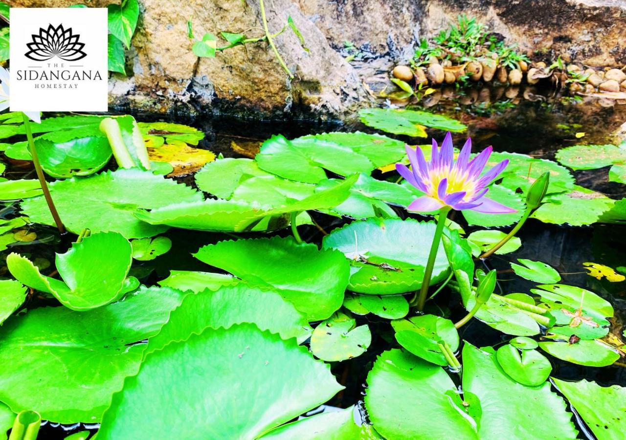 Sidhangana Home Stay Anuradhapura Dış mekan fotoğraf