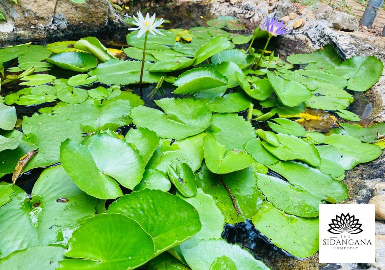 Sidhangana Home Stay Anuradhapura Dış mekan fotoğraf